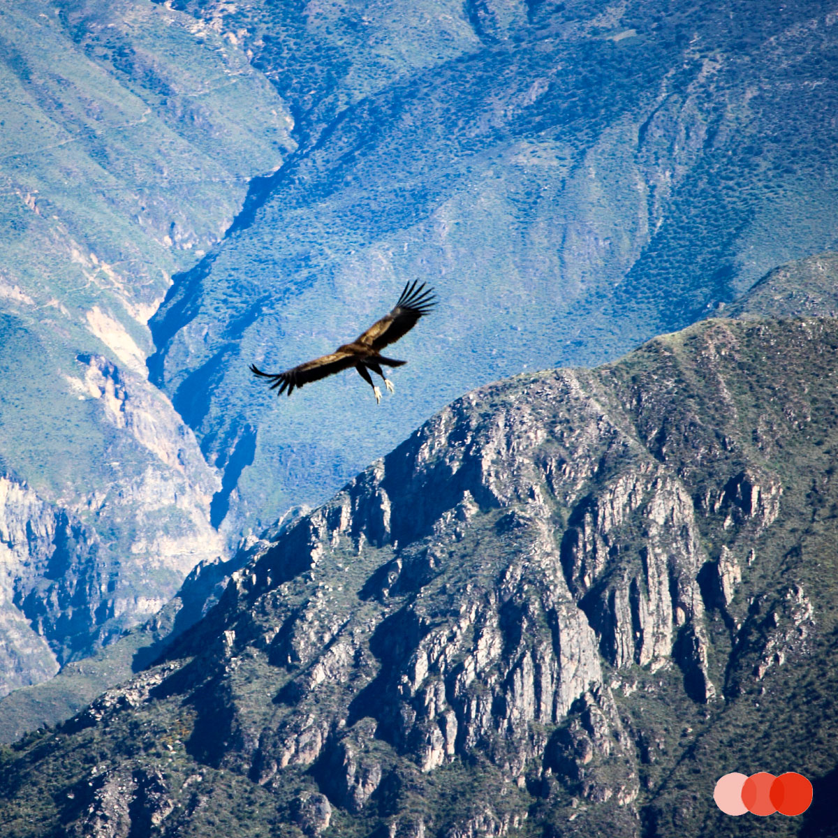 Mirador del Condor, Peru