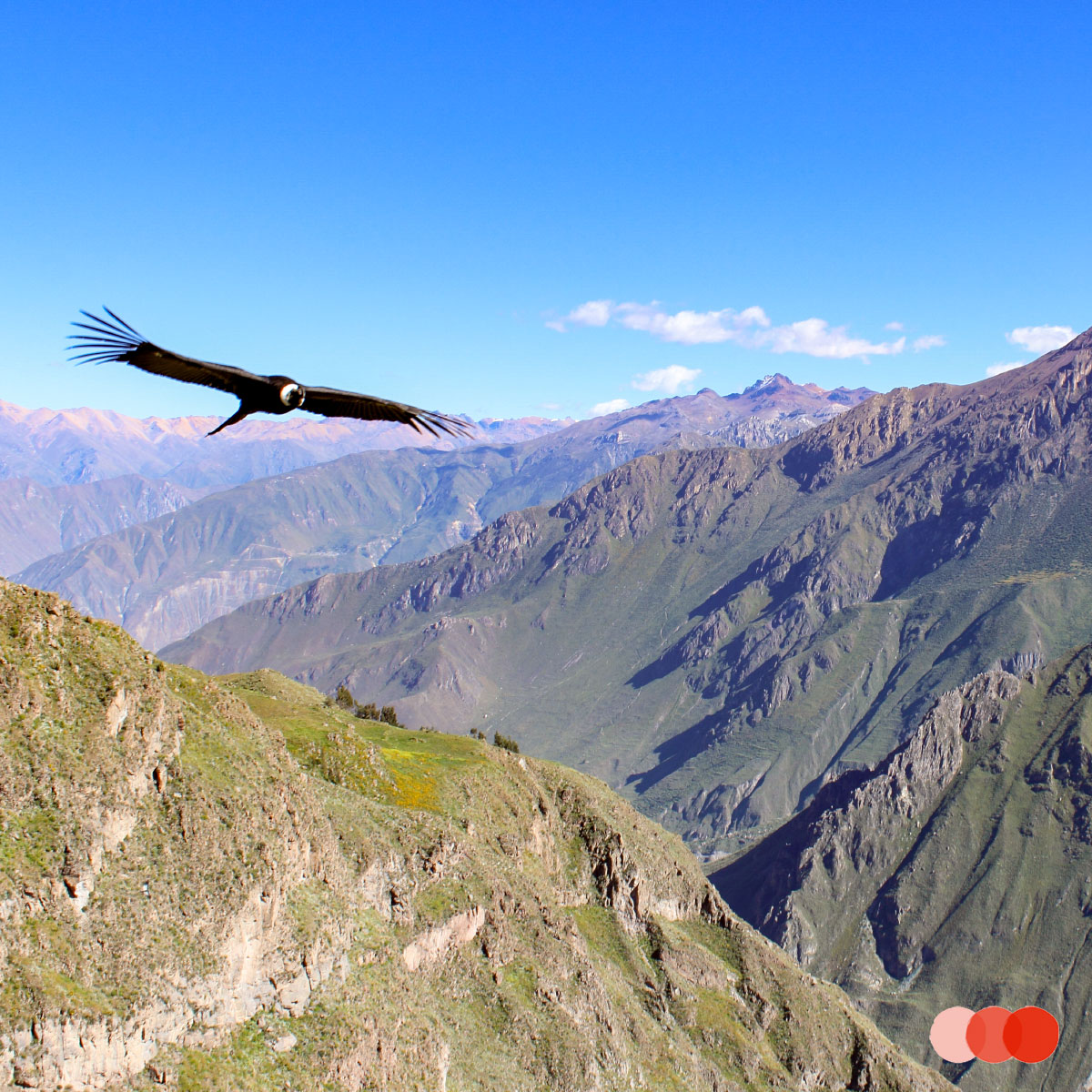 Colca Valley, Peru De perfecte reisbestemming voor elk sterrenbeeld