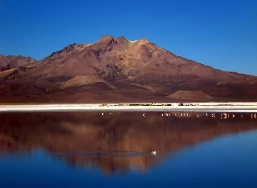 Chile Reisetipp Lauca Nationalpark