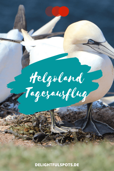 Helgoland Tagesausflug