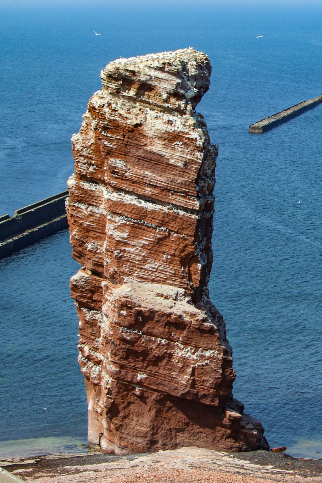 Was Lohnt Sich Auf Helgoland Zu Kaufen Helgoland – lohnt sich ein Tagesausflug?