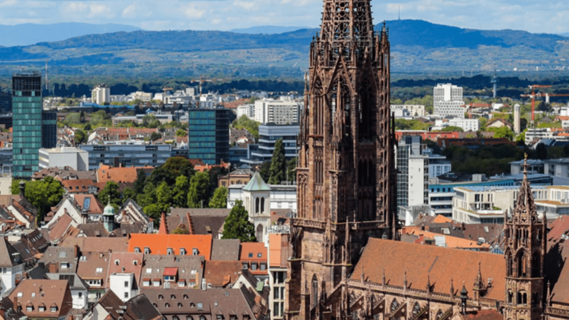 Freiburg Tipps, Blick aufs Münster