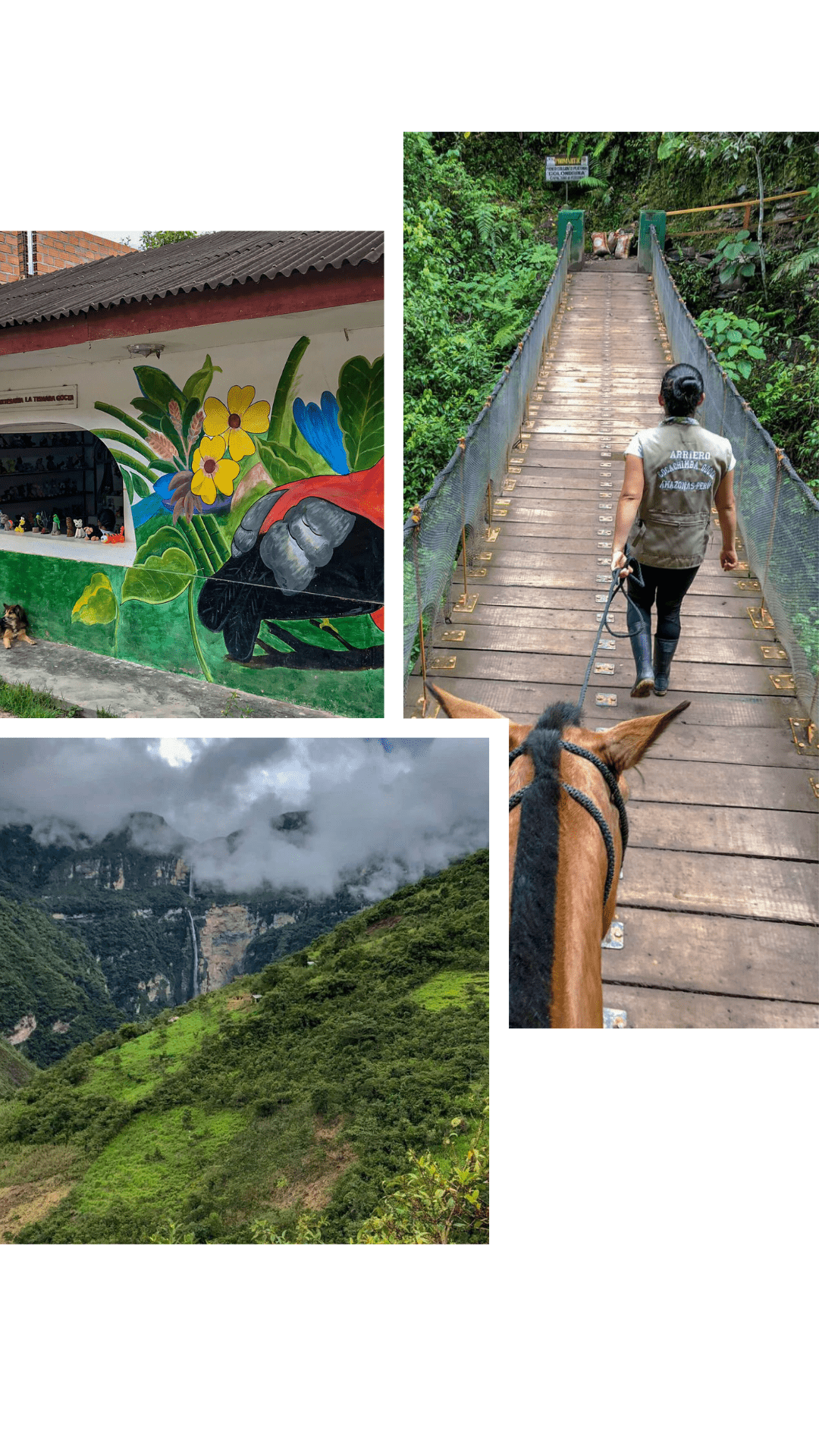 Perus Norden, Tagesausflug zum Gocta Wasserfall