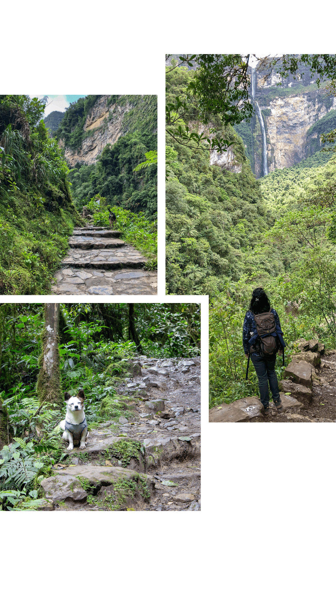 Wanderung zum Gocta Wasserfall, Highlight im Norden Perus