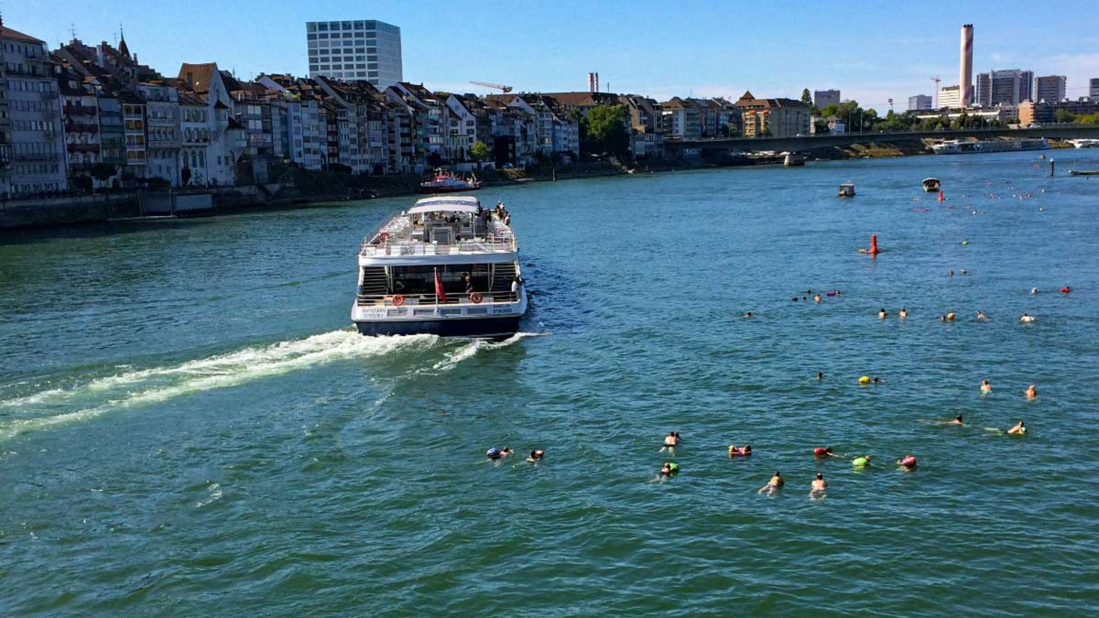 Basek, Flussschwimmen im Rhein
