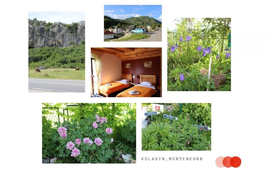 Botanischer Garen und Gästehaus, Kolasin Montenegro