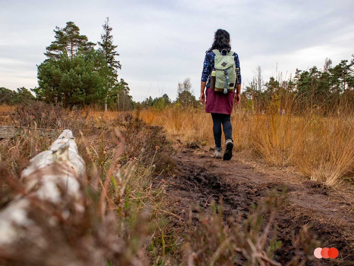 Moore in Deutschland besuche diese Feuchtgebiete