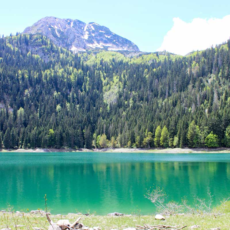 Wildes Europa 5 Nationalparks in Montenegro