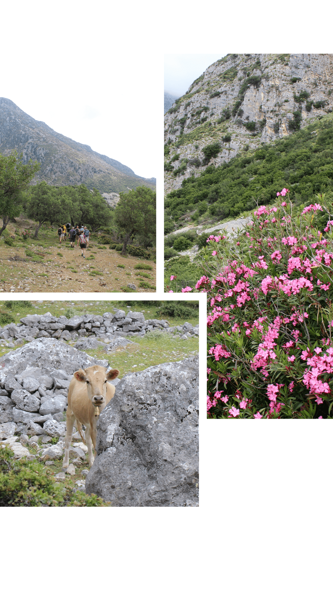 Khudës nach Qeparo, Wandern in Albanien