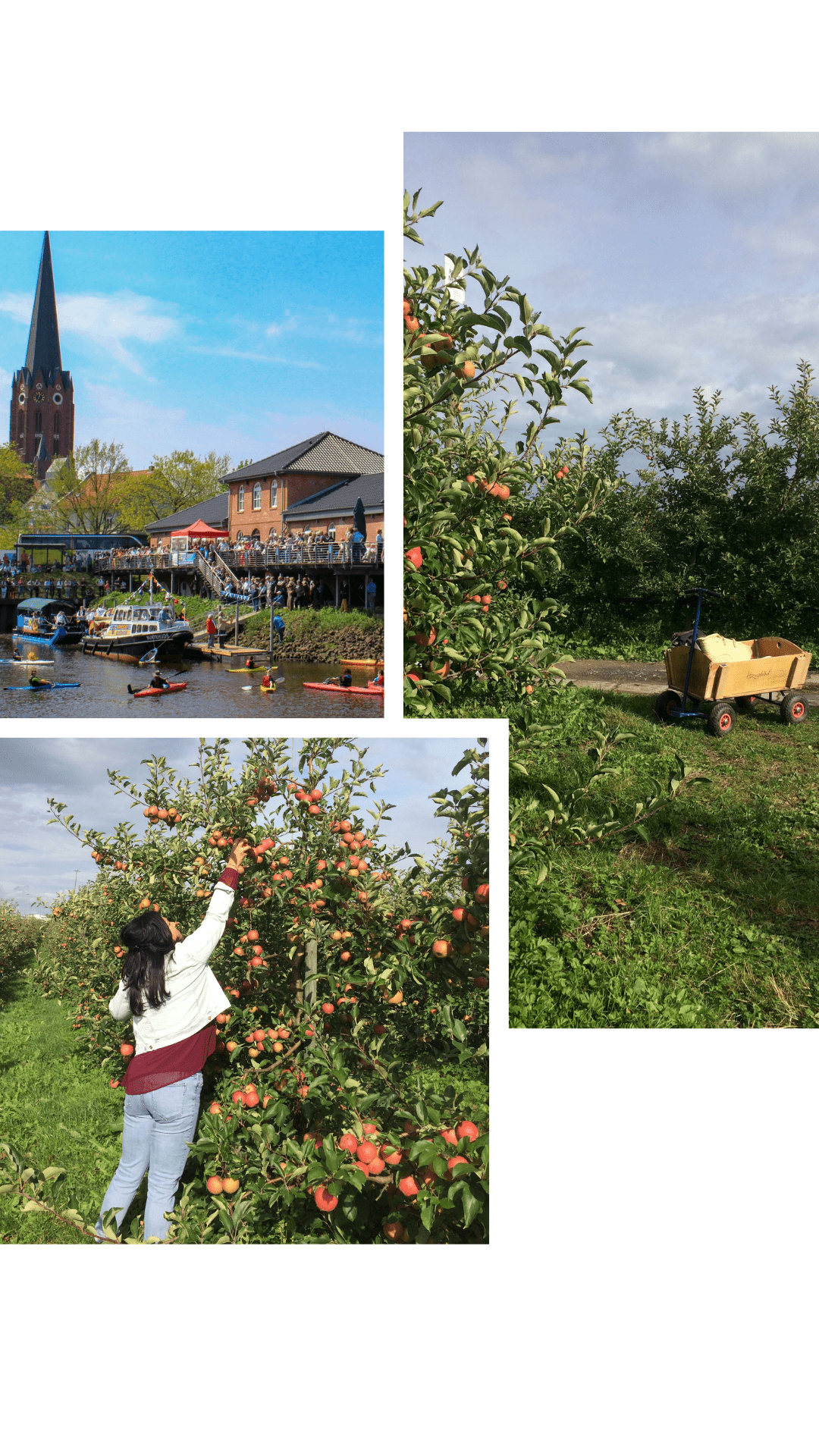 Buxtehude zur Apfelernte, schöne Kleinstädte in Norddeutschland