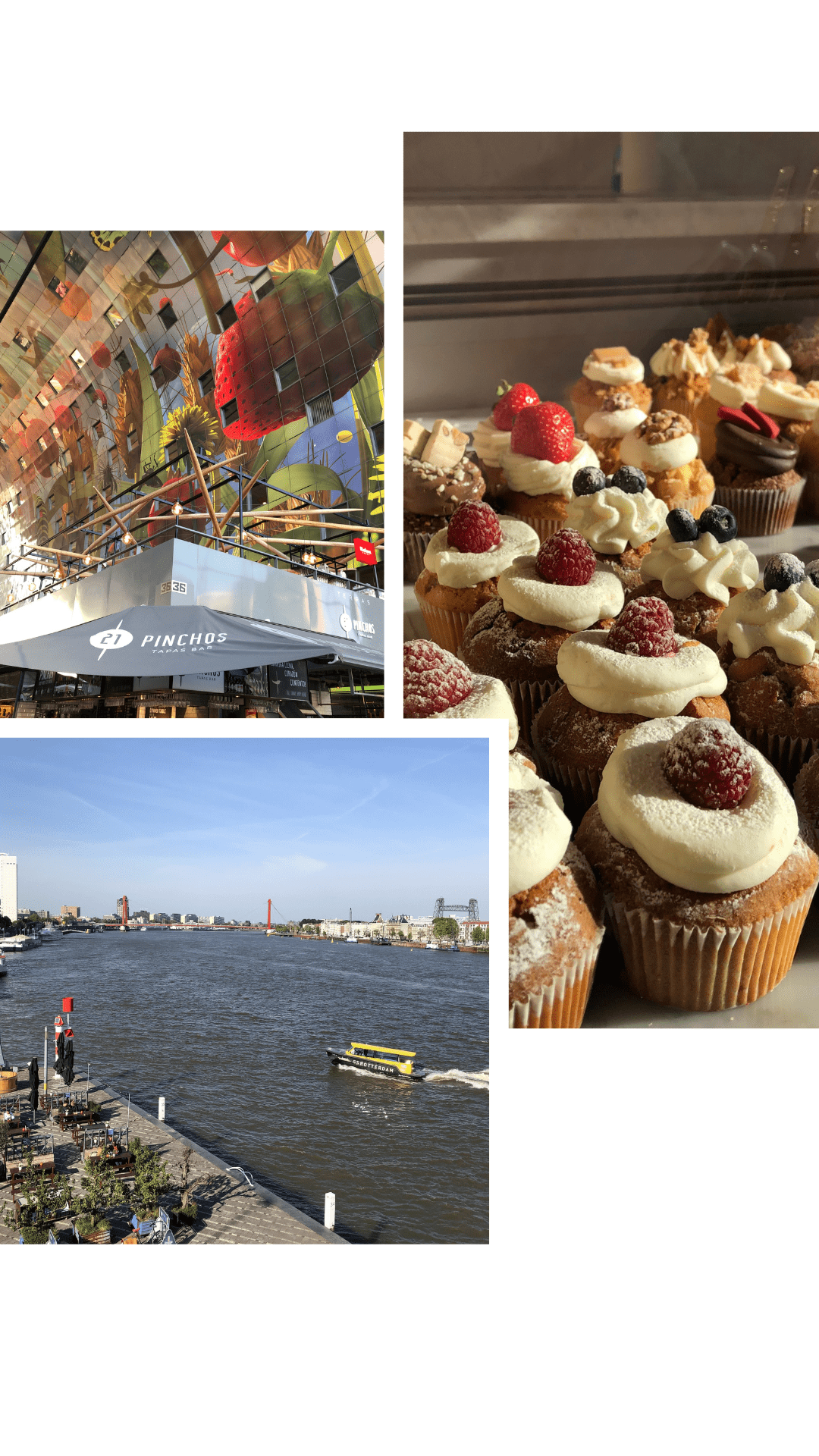 Essen und Trinken in Rotterdam