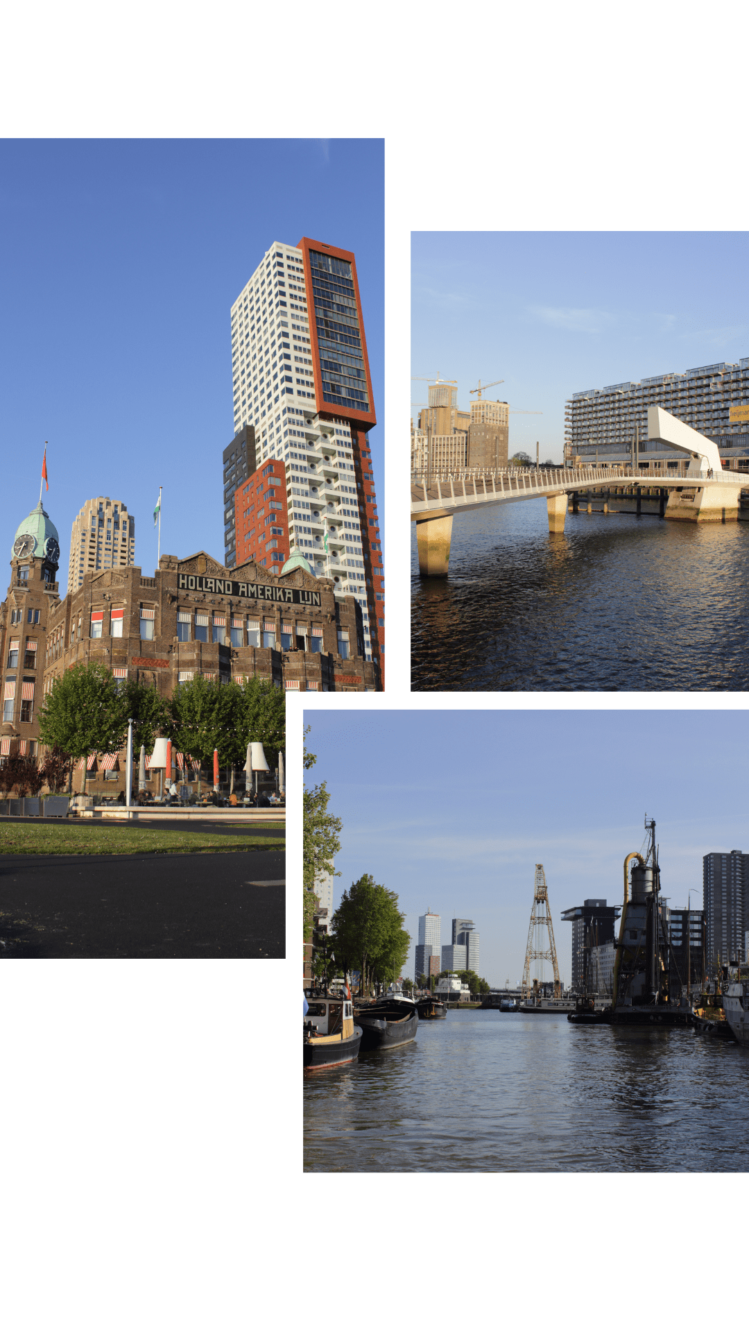 Rotterdam zu Fuß erkunden