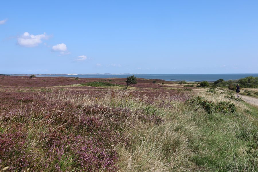 Blick auf Braderuper Heide, Wattenmeer und Wanderin