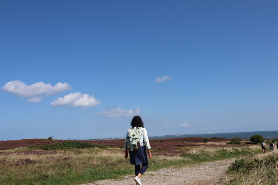 Reisebloggerin auf Sylt, unterwegs in der Braderuper Heide