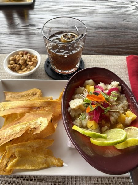 Bocas Town, Ceviche und Getränk