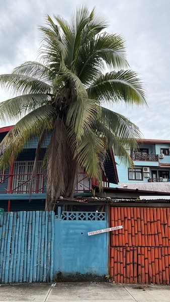 Bocas Town, Stadtansicht