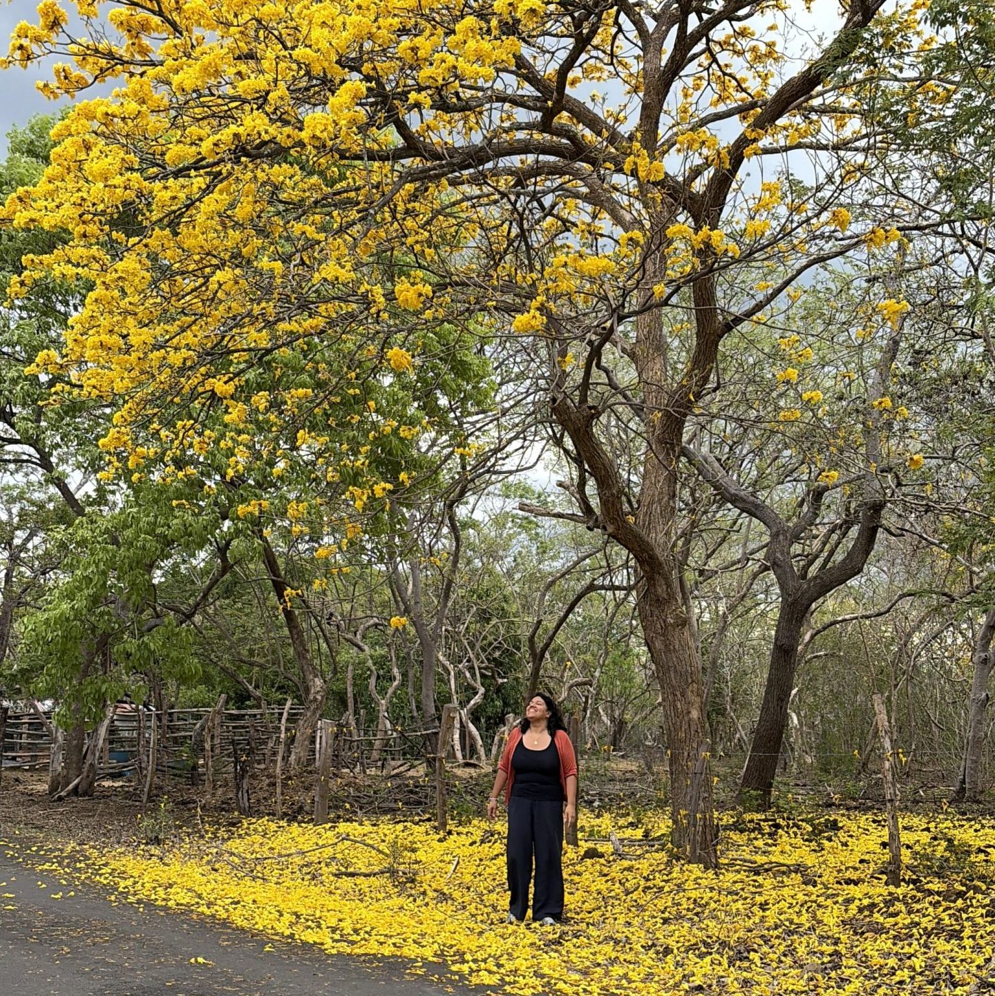 Costa Rica – Zwei Wochen zwischen Vulkanen, Regenwald und Pazifik