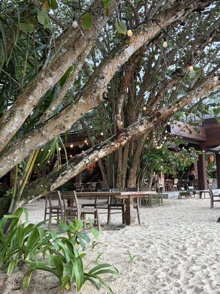 El Palmar Beach Lodge, Strand