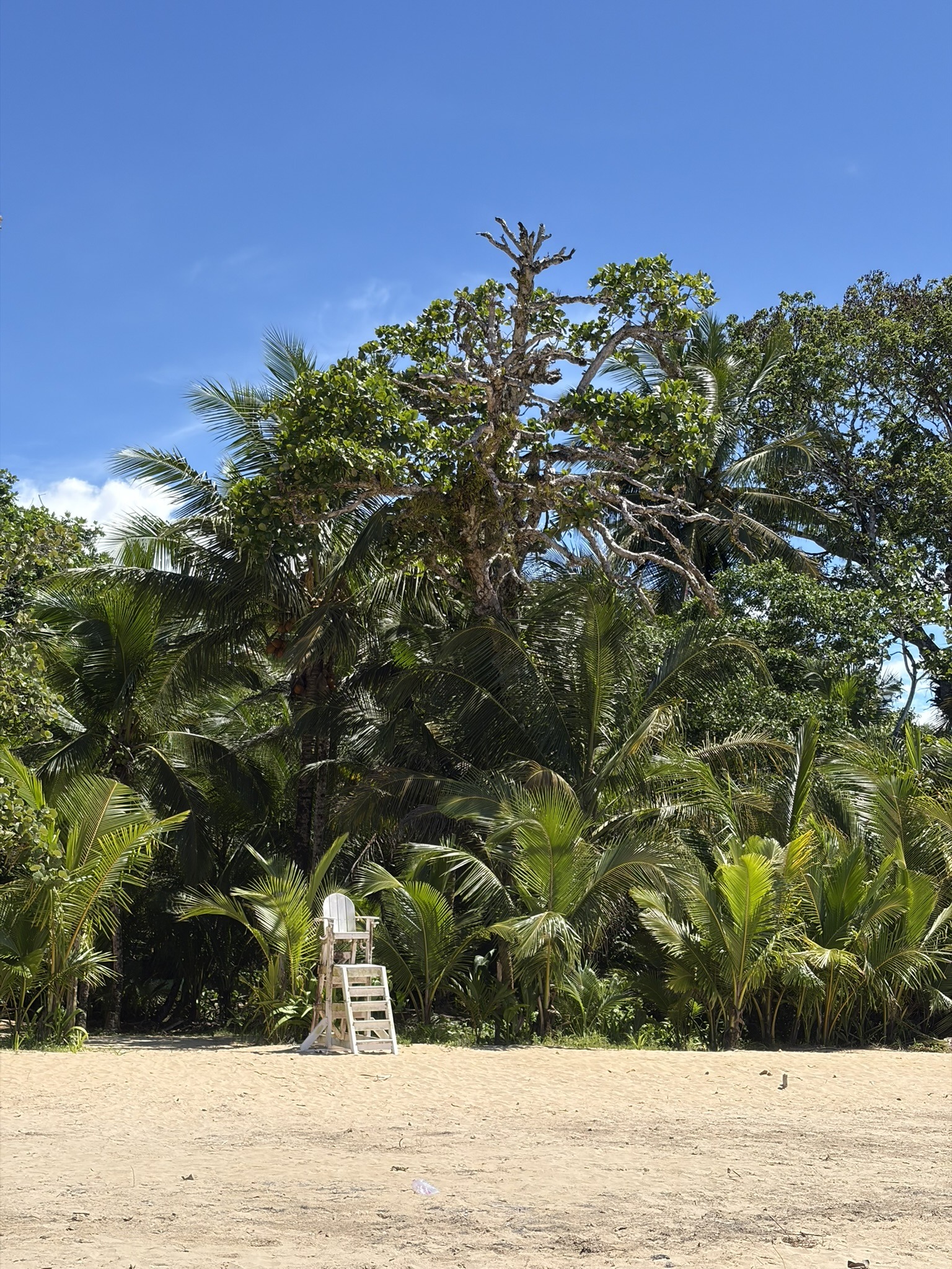 Red Frog Beach