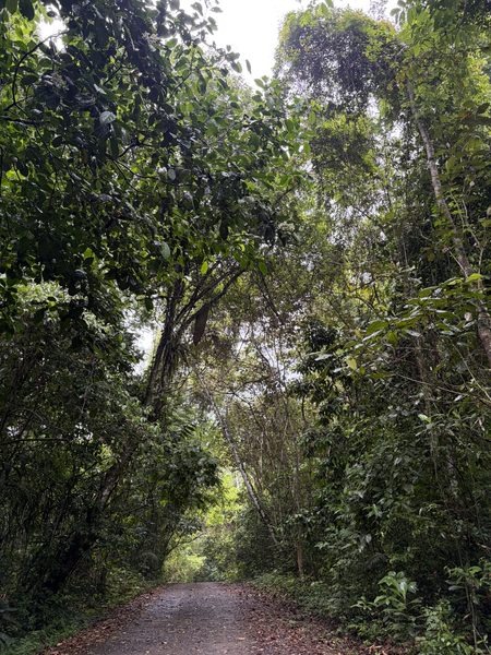 Soberania Nationalpark, Rainforest Discovery Center
